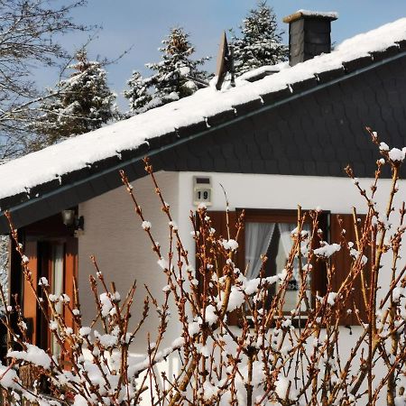 Bb19 Eifel-Ferienhaus Am Moseltal Mit Saunahaus Beuren  Buitenkant foto