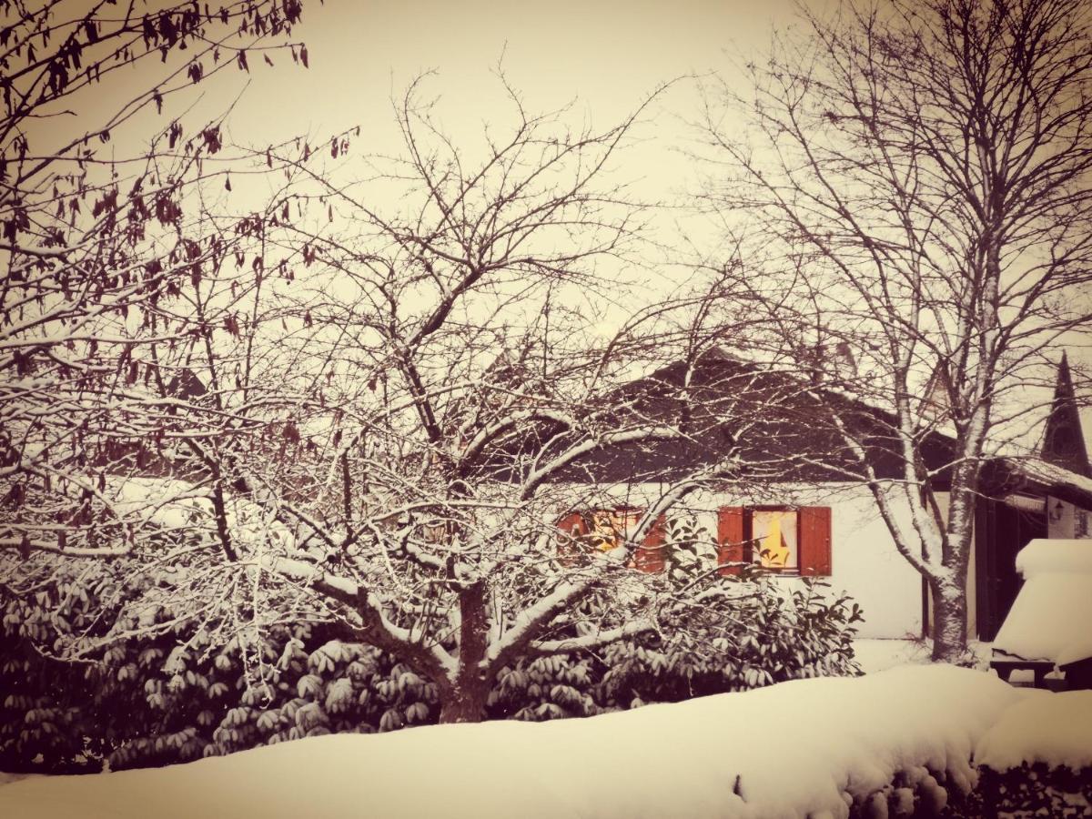 Bb19 Eifel-Ferienhaus Am Moseltal Mit Saunahaus Beuren  Buitenkant foto