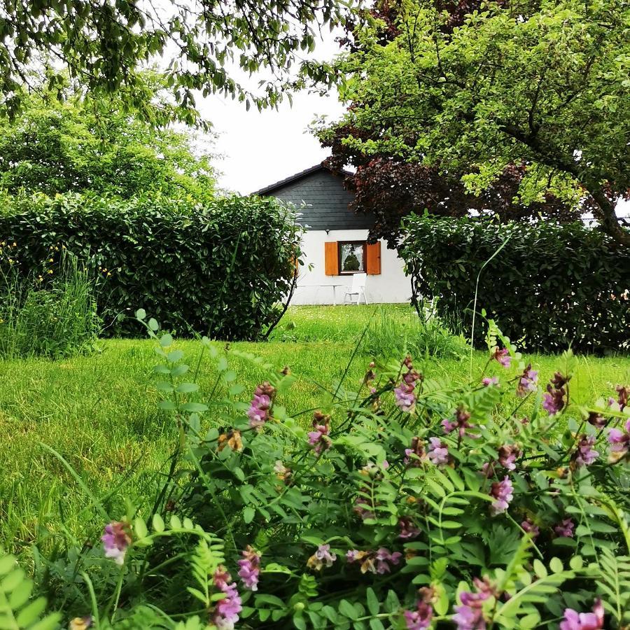 Bb19 Eifel-Ferienhaus Am Moseltal Mit Saunahaus Beuren  Buitenkant foto