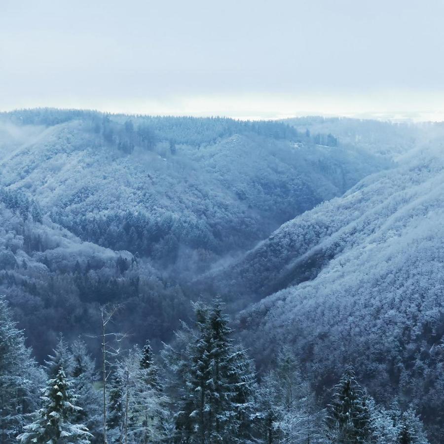 Bb19 Eifel-Ferienhaus Am Moseltal Mit Saunahaus Beuren  Buitenkant foto