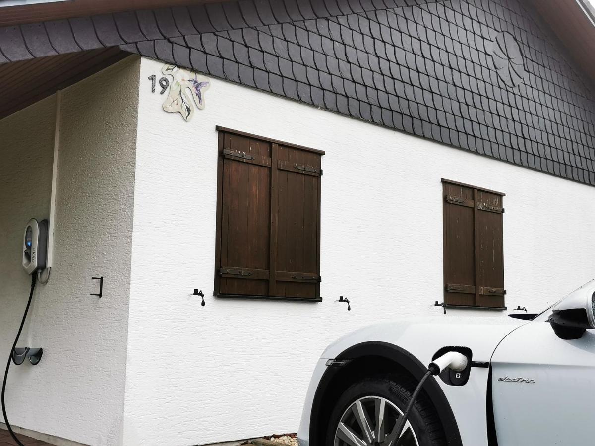 Bb19 Eifel-Ferienhaus Am Moseltal Mit Saunahaus Beuren  Buitenkant foto